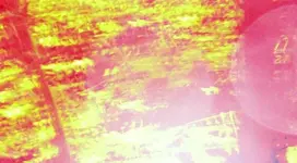 backyard strange hit area 5.webp