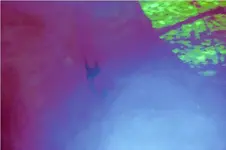 strange hit around tree 5 IR .webp
