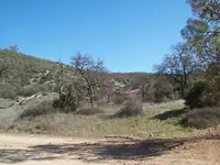 The Man Trail Markers 001.webp