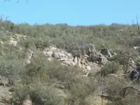 The Man Trail Markers 008.webp