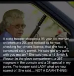 oldlady&guns.webp