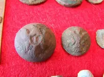 Eagle buttons 4-18.webp