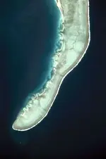 Shoals  Of Capricorn.webp