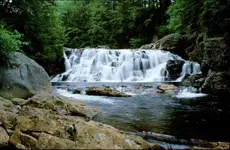 falls.webp