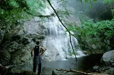 falls2.webp