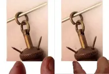 acorn1a.webp
