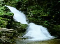 falls4.webp