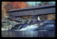 falls5.webp