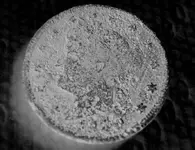 Toasted_V-Nickle.webp