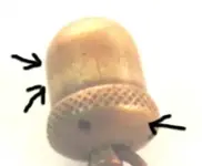 Acorn1.webp