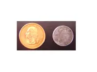 gold steel fronts.webp