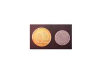 gold steel backs.webp
