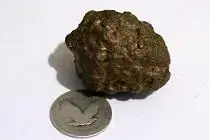 Nugget.webp