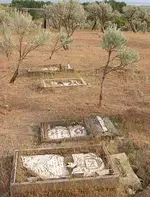 Foster Cemetary 013.webp