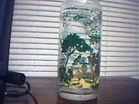 Image003.webp