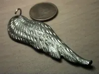 Wing and Dollar Back.webp