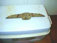 IMAG0001.webp
