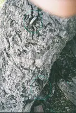 tree3.webp