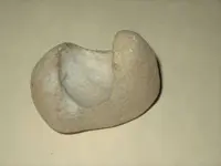 rock1.webp