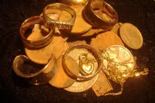assorted.webp