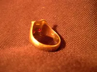 DSCN5340.webp