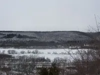 rsz_rsz_000_0007.webp