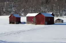 close-up old barn.webp