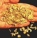 goldnugget.webp