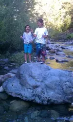 4881.webp