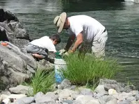 4265.webp