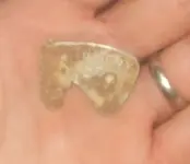 DSCF1891.webp
