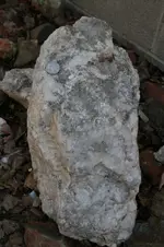 021 (533x800).webp 021 (533x800).webp