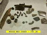 0105NUT.webp