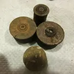 0105SHELLS.webp