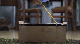 hAF408DF9.gif