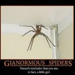 543935_399743720115783_1432664718_n.webp