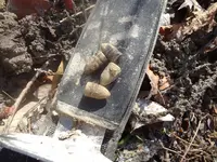 Metal Detecting 2013 102.webp