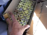 DSCN5953.webp