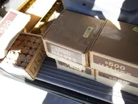 DSCN5955.webp