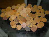 DSCN5960.webp