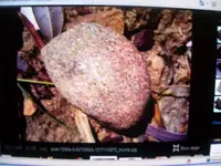 Comparative Samples of Cobble Like Meteorites 001.webp