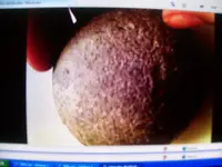 Comparative Samples of Cobble Like Meteorites 002.webp