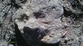 IMAG0242.webp