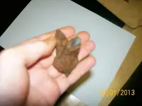 100_5547.webp
