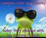 484712_342368175867508_1882379888_n.webp