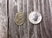 button old 2.webp