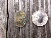 old button 1.webp