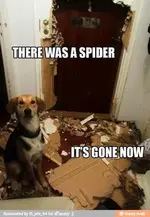 483741_564472506898662_1932338953_n.webp
