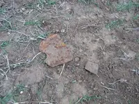 011213e.webp