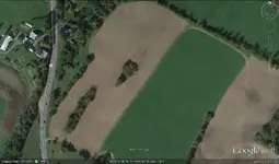 oldfieldschoh.webp